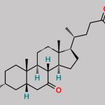 Ursodeoxycholic Acid EP Impurity F CAS#: 4651-67-6