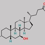 Ursodeoxycholic Acid EP Impurity G CAS#: 10538-55-3