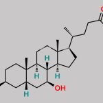 Ursodeoxycholic Acid EP Impurity H CAS#: 78919-26-3