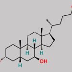 Ursodeoxycholic Acid EP Impurity I CAS#: 130593-75-8