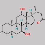 Ursodeoxycholic Acid Impurity 1 CAS#: 139265-35-3