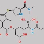 Vaborbactam Impurity 1 CAS#: N/A