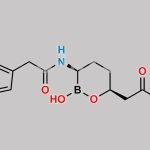 Vaborbactam Impurity 12 CAS#: N/A