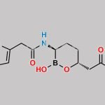 Vaborbactam Impurity 13 CAS#: N/A