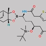 Vaborbactam Impurity 17 CAS#: N/A