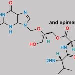 Valganciclovir Impurity 5 CAS#: N/A