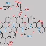 Vancomycin Didechloro Impurity CAS#: 98510-30-6