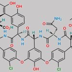 Vancomycin EP Impurity C CAS#: 82198-76-3