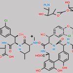 Vancomycin Mixture of EP Impurity B and EP Impurity E CAS#: N/A
