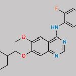 Vandetanib CAS#: 443913-73-3