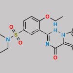 Vardenafil Related Compound E CAS#: 448184-46-1