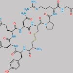 Vasopressin Impurity 1 CAS#: N/A