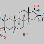 Vecuronium Bromide EP Impurity E CAS#: 50587-95-6