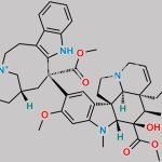 Vinblastine Impurity B CAS#: 61936-68-3