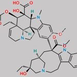 Vinblastine Impurity C CAS#: N/A