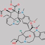 Vinblastine Impurity D CAS#: N/A