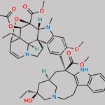 Vinblastine Impurity H CAS#: N/A