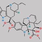 Vinorelbine EP Impurity K CAS#: N/A