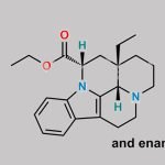 Vinpocetine EP Impurity D CAS#: N/A