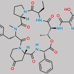 Virginiamycin S1 CAS#: 23152-29-6