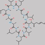 Voclosporin Impurity 1 CAS#: N/A