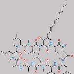 Voclosporin Impurity 2 CAS#: N/A