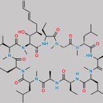 Voclosporin Impurity 4 CAS#: N/A