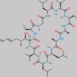 Voclosporin Impurity 5 CAS#: N/A