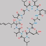 Voclosporin M4 (IM9) Metabolite CAS#: 892495-53-3