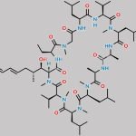 Voclosporin M6 (IM4n) Metabolite CAS#: 892495-56-6