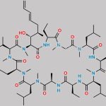 Voclosporin V CAS#: N/A