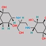 Voglibose Impurity 2 CAS#: 1303996-66-8