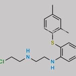 Vortioxetine Impurity 36 CAS#: 1928741-88-1