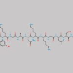 Vosoritide CAS#: 1480724-61-5