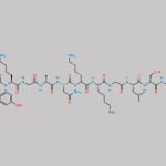 Vosoritide D-Tyr-11 Impurity CAS#: N/A