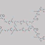 Vosoritide Dimer CAS#: N/A