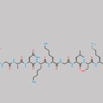 Vosoritide Lysin-27 Amine Acetylated CAS#: N/A