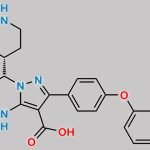 Zanubrutinib Acid Impurity CAS#: N/A