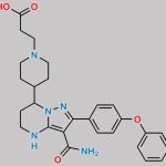 Zanubrutinib Amino Acid Impurity CAS#: N/A
