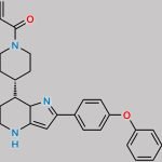 Zanubrutinib Des Amide Impurity CAS#: N/A