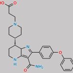 Zanubrutinib Impurity 14 CAS#: N/A