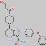 Zanubrutinib Impurity 16 CAS#: N/A