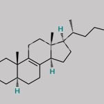 Zymosterol CAS#: 128-33-6