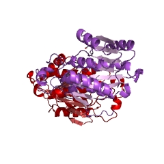 Beispielstruktur der Alkoholdehydrogenase EC #: 1.1.1.1