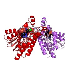 Estructura de ejemplo de L-xilulosa reductasa EC #: 1.1.1.10