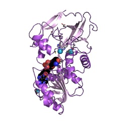 Example Structure of L-threonine 3-dehydrogenase EC#: 1.1.1.103