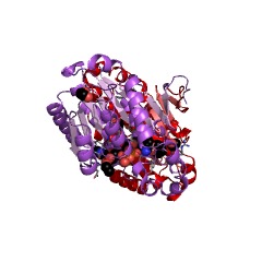 Example Structure of all-trans-retinol dehydrogenase (NAD+) EC#: 1.1.1.105