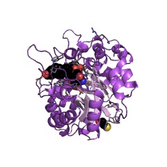 Example Structure of indanol dehydrogenase EC#: 1.1.1.112