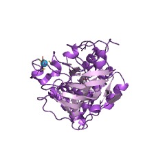 Example Structure of D-arabinose 1-dehydrogenase [NAD(P)+] EC#: 1.1.1.117