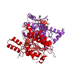 Example Structure of glucose 1-dehydrogenase (NAD+) EC#: 1.1.1.118